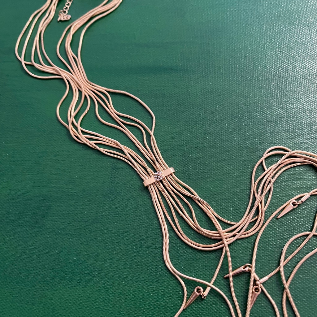 Abs By Allen Schwartz Lariat Necklace